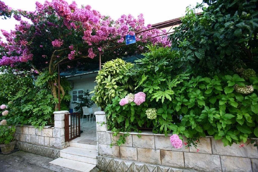 Apartments Indira Ловиште Номер фото